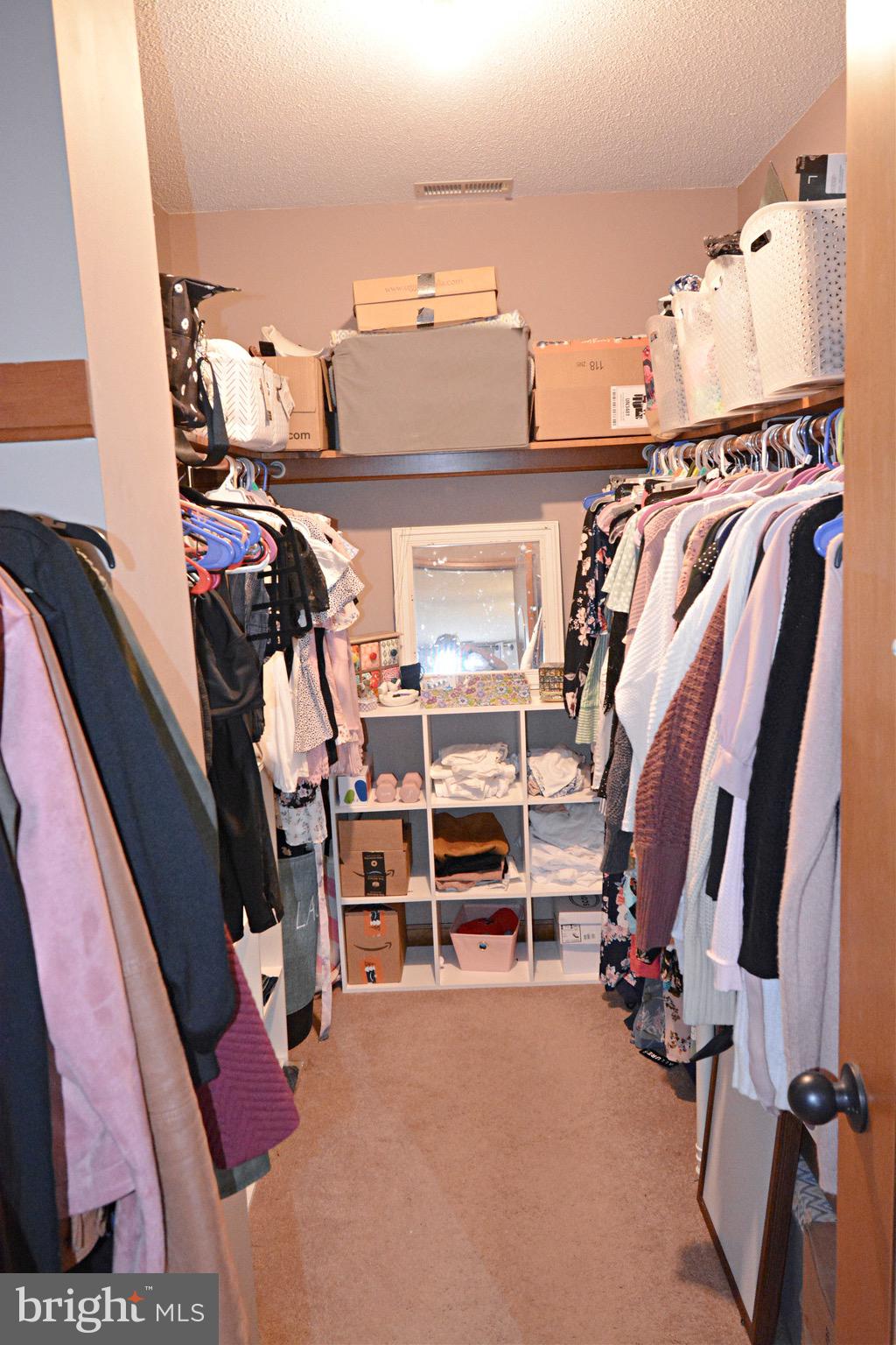 5379 Waste Gate Road Parsonsburg, MD 21849 - Photo 28 of 42 Master walk in closet