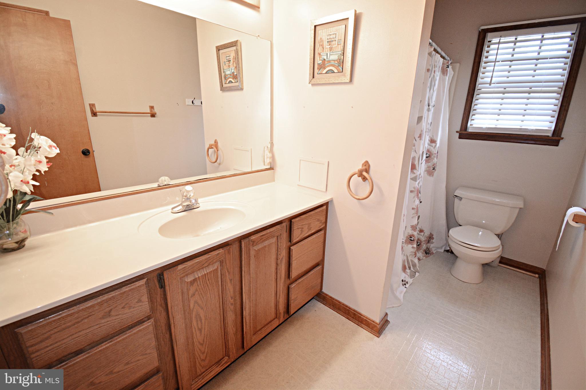 5379 Waste Gate Road Parsonsburg, MD 21849 - Photo 29 of 42 Hall bathroom