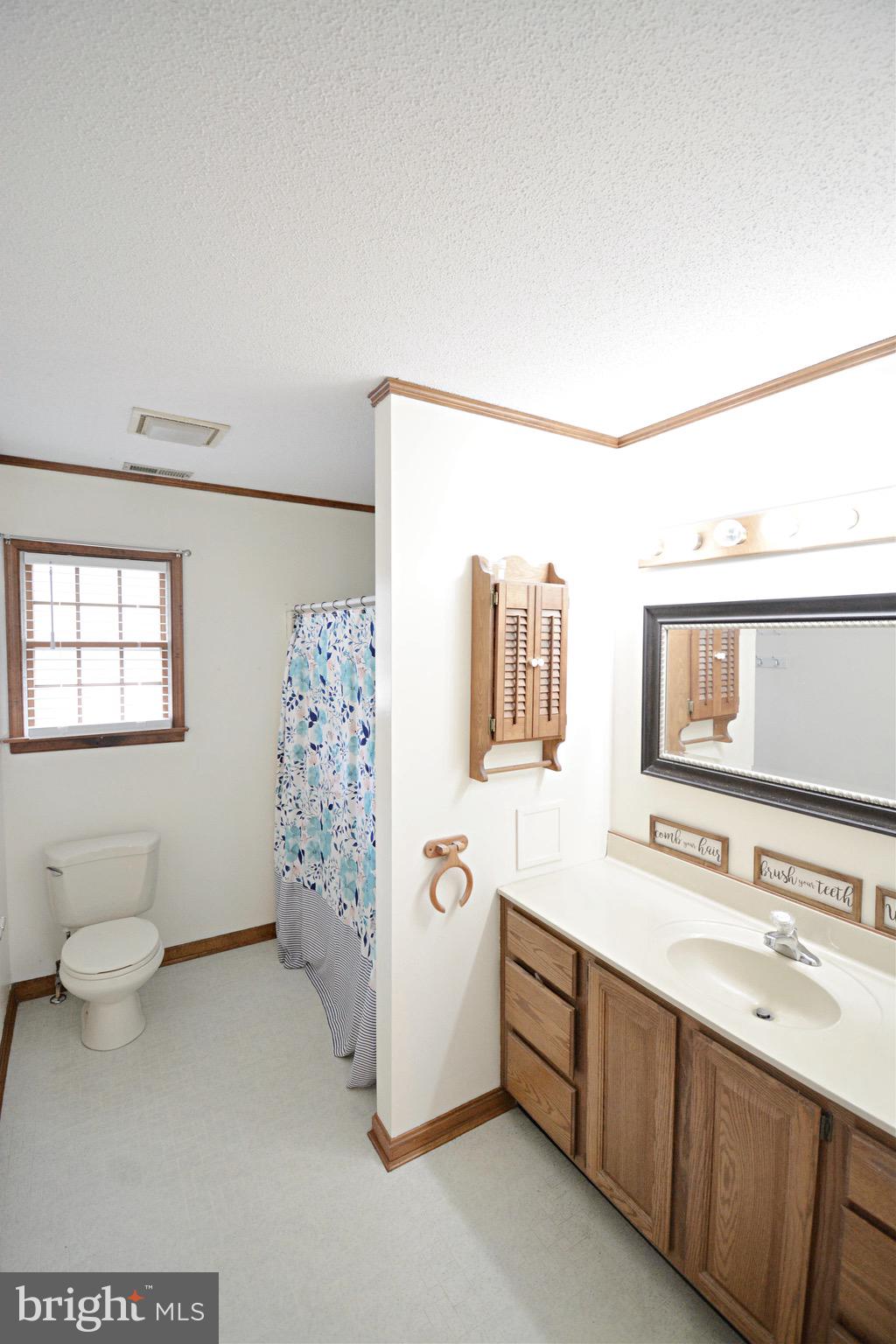 5379 Waste Gate Road Parsonsburg, MD 21849 - Photo 30 of 42 Master bathroom