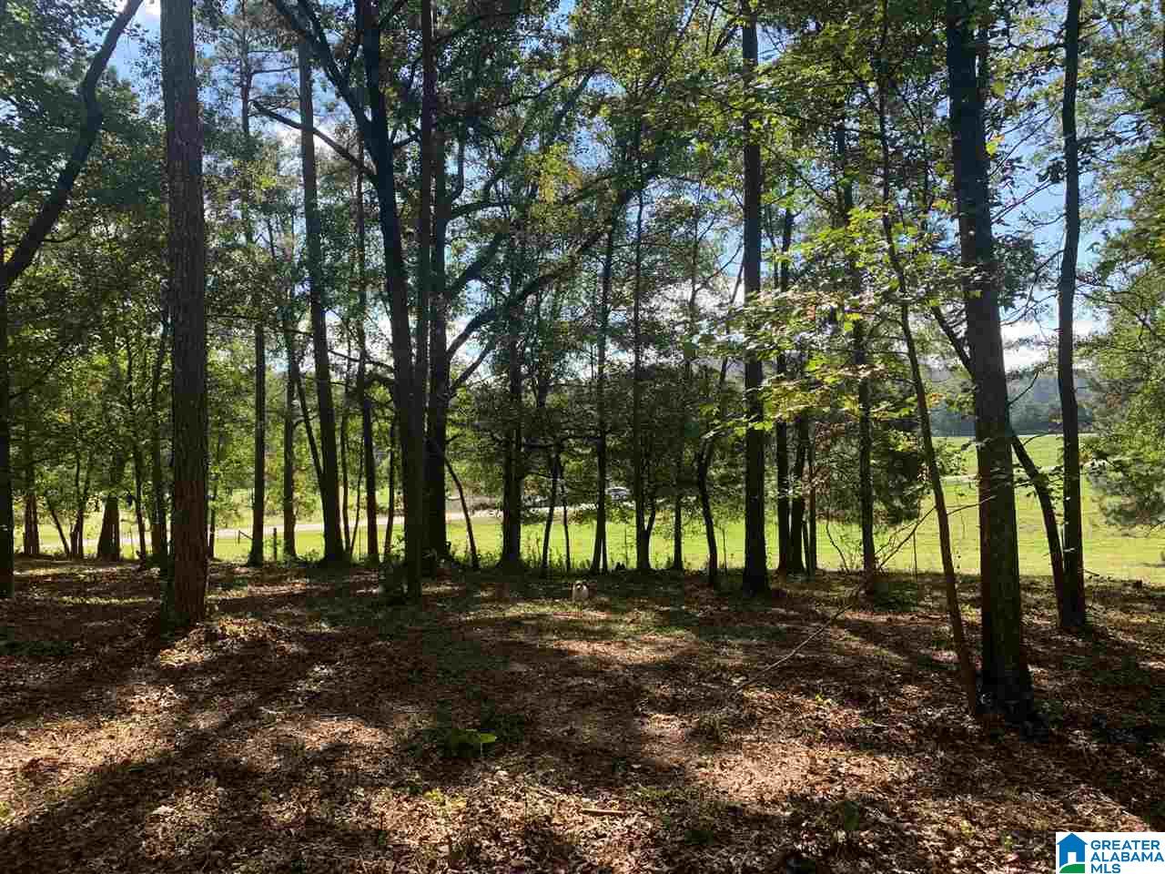 0 Embry Bend Road, Unit 1 Lincoln, AL 35096 - Photo 14 of 15