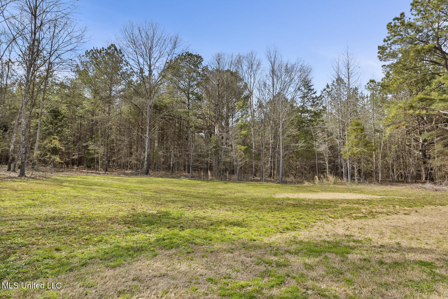 187 Moss Road Canton, MS 39046 - Photo 25 of 33 187 Moss-26