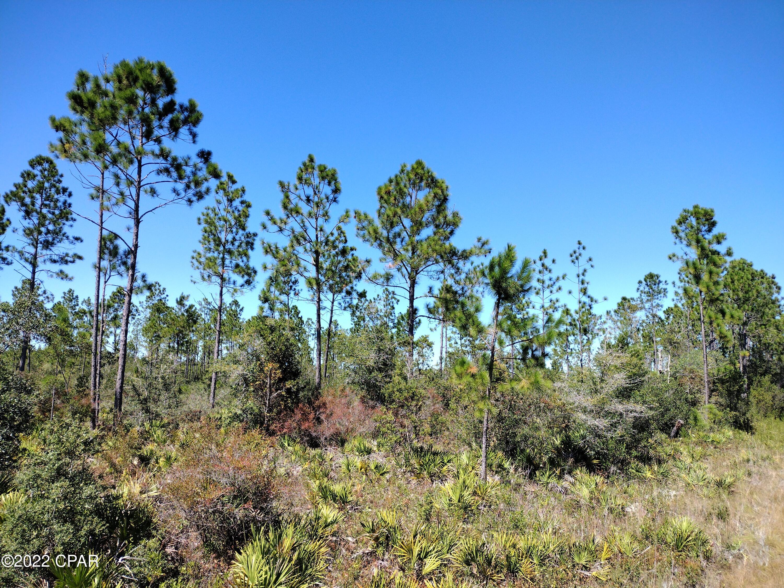10695 Cowels Road Fountain, FL 32438 - Photo 1 of 8 Gallery Image 1