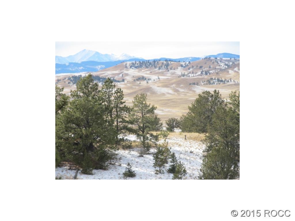 Unkown Wolfe Road Hartsel, CO 80449 - Photo 3 of 5 Gallery Image 3