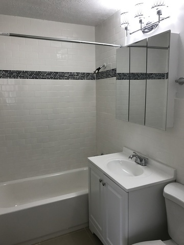 1025 West Hollywood Avenue, Unit 218 Chicago, IL 60660 - Photo 10 of 10 a bathroom with a sink and a mirror