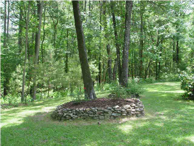 9 Devonshire Way Flora, MS 39071 - Photo 16 of 18 views of the beautiful backyard