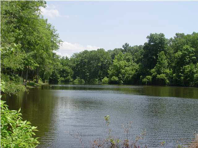 9 Devonshire Way Flora, MS 39071 - Photo 18 of 18 shared neighborhood pond