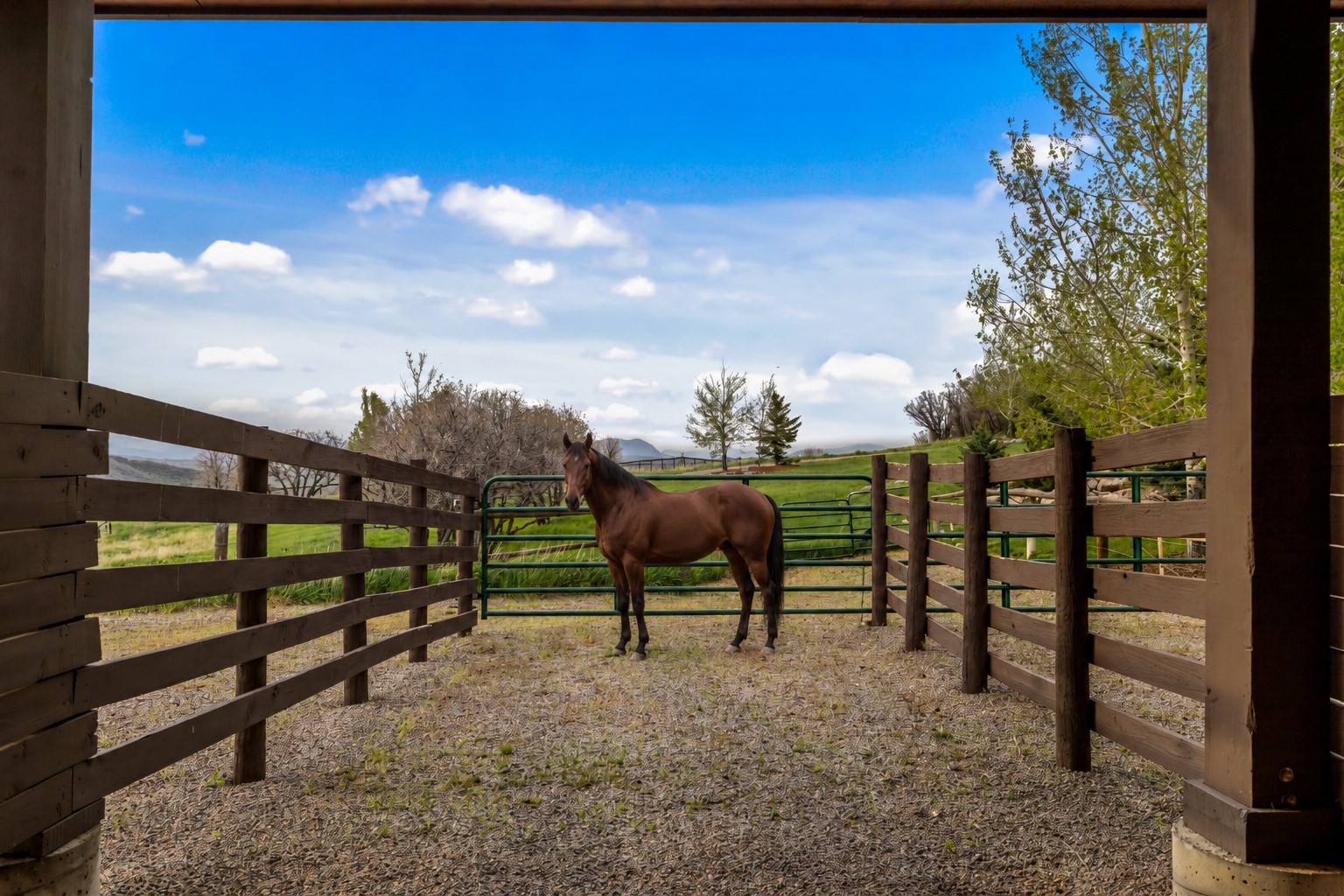 24775 Rainbow Ridge Oak Creek, CO 80467 - Photo 9 of 49
