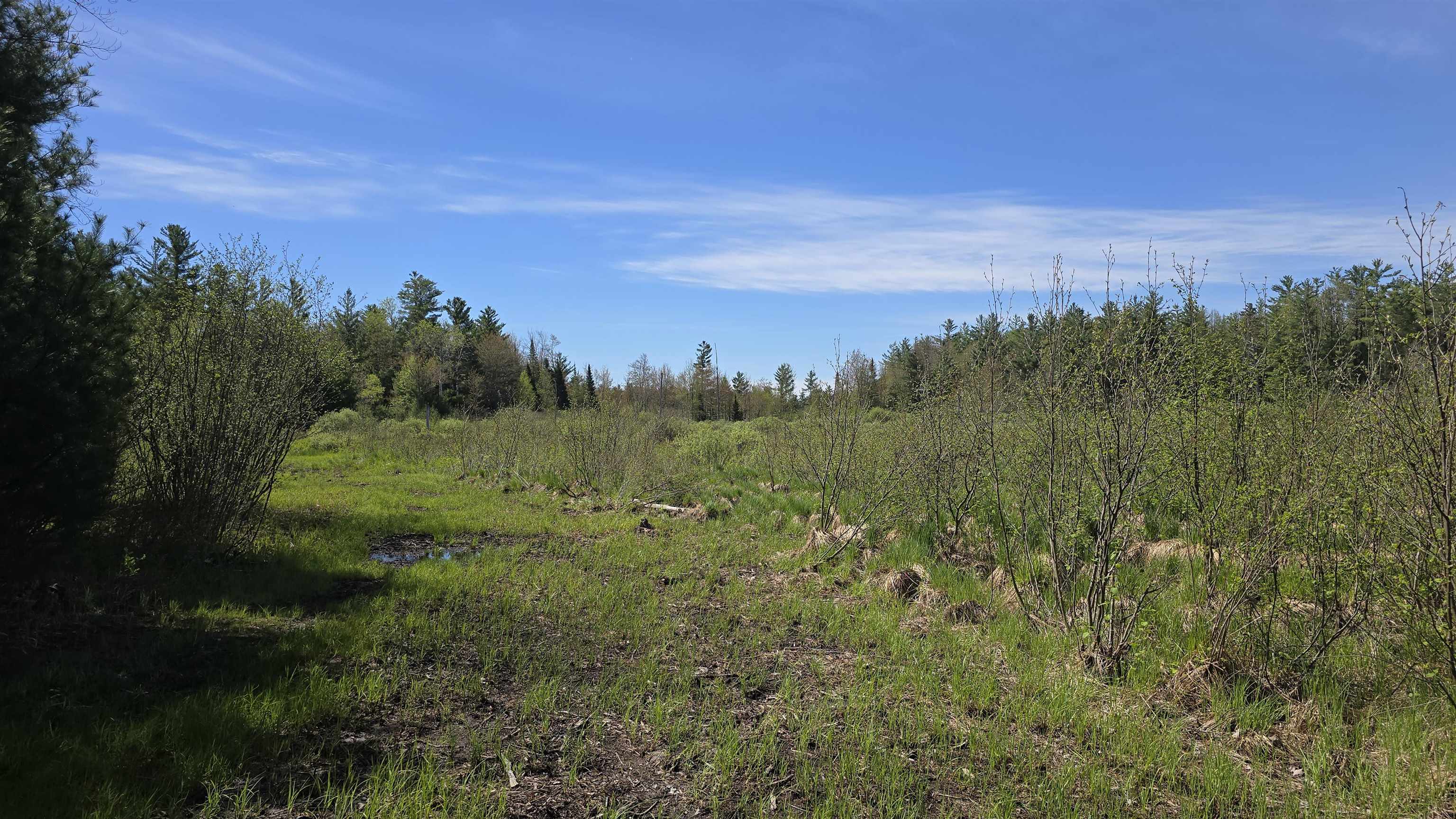 0 Lund Road Southwest Fife Lake, MI 49633 - Photo 11 of 39