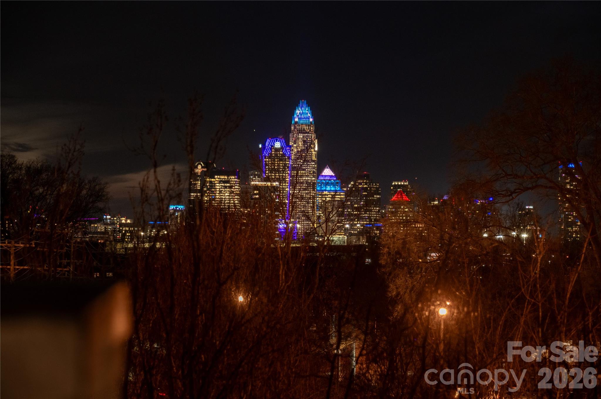 3123 North Davidson Street, Unit 313 Charlotte, NC 28205 - Photo 22 of 24