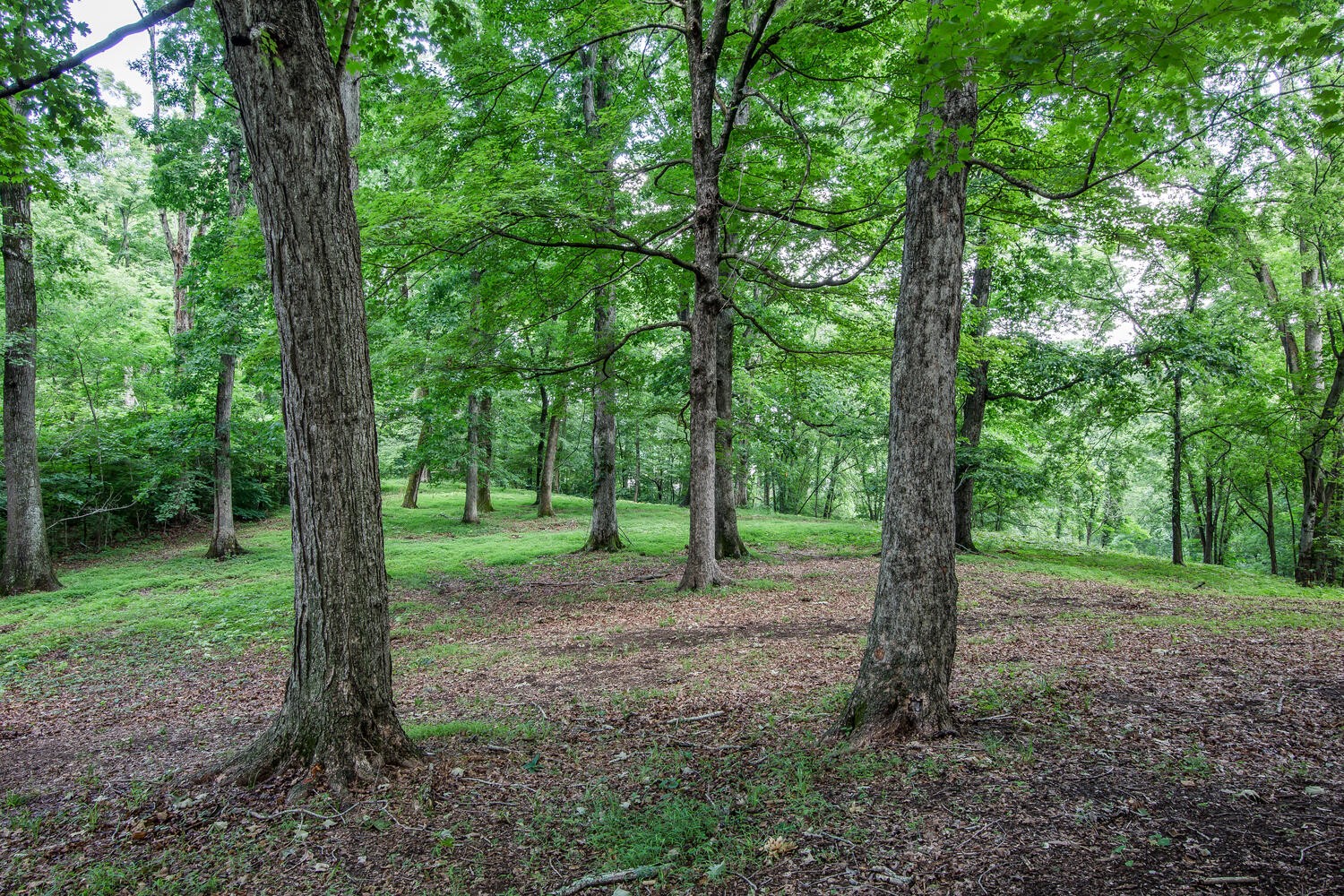 6616 Burkitt Road Antioch, TN 37013 - Photo 35 of 39 Gallery Image 35