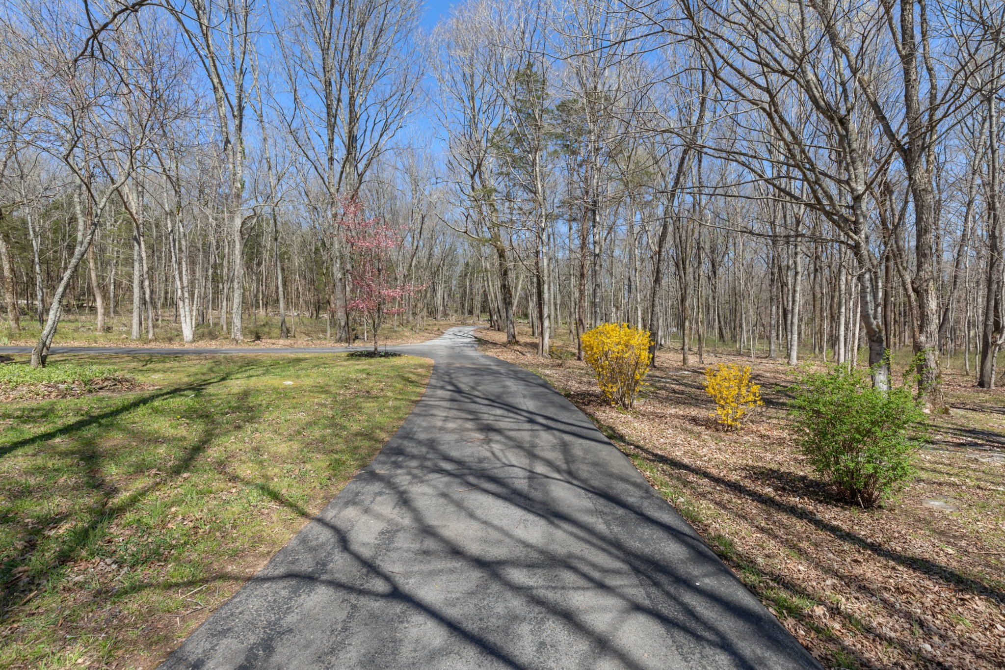 1921 Whitus Road Murfreesboro, TN 37128 - Photo 57 of 64 Gallery Image 57