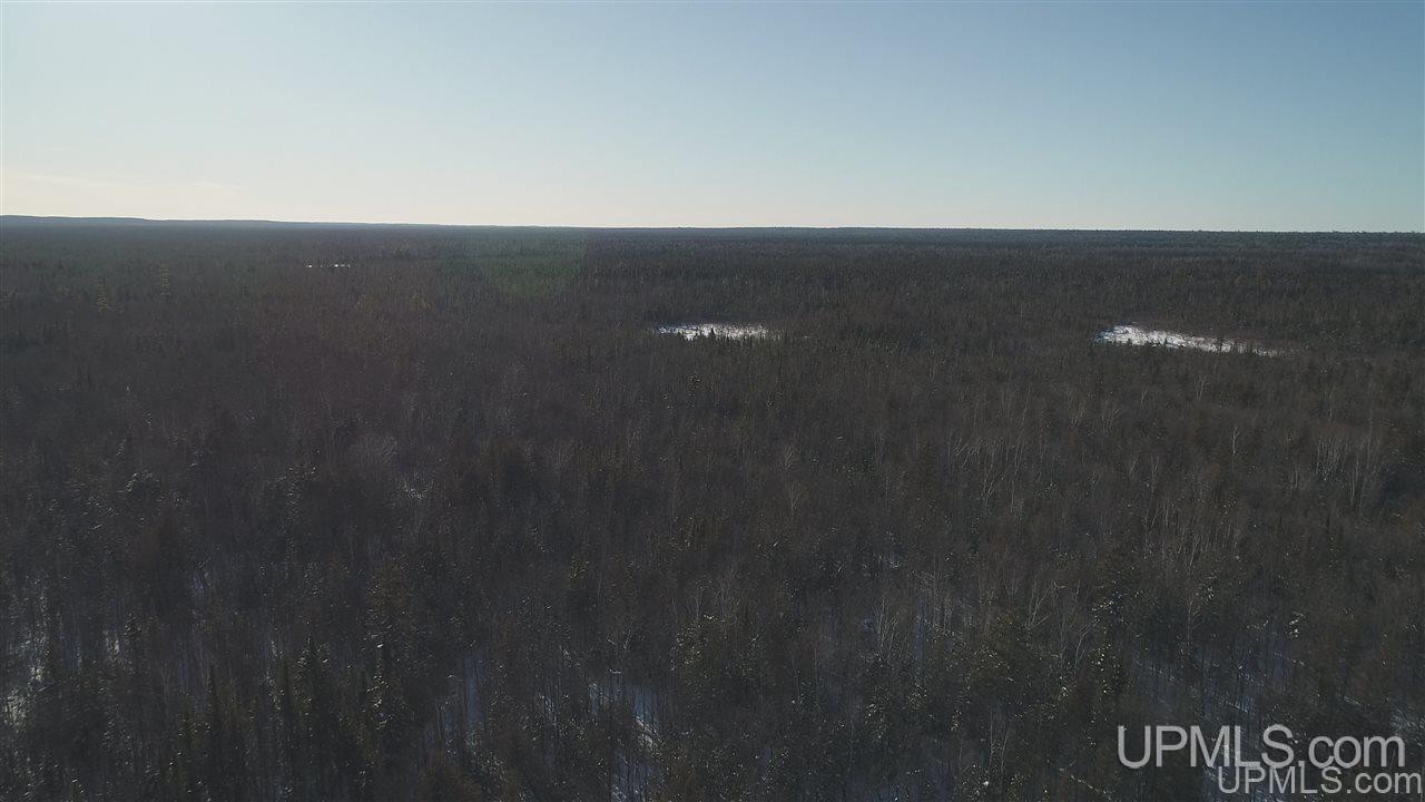 80-acres Co Rd N415 McMillan, MI 49853 - Photo 16 of 36