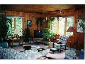 120 Forest Road Lyndeborough, NH 03082 - Photo 4 of 5