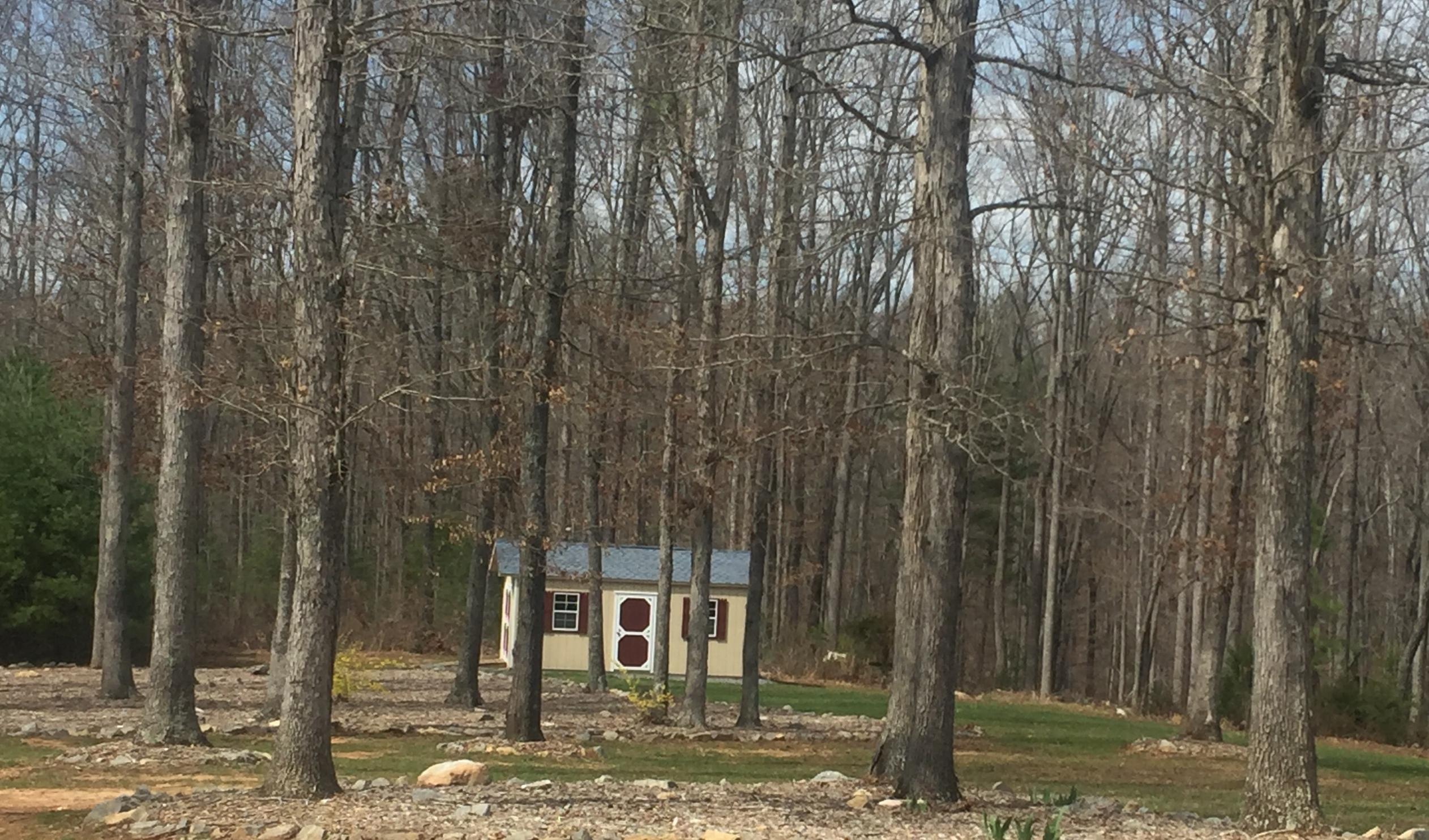 290 Carroll Road Hardy, VA 24101 - Photo 47 of 47 Shed