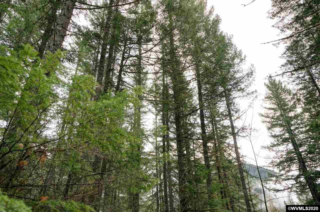 35146 North Fork Road Lyons, OR 97358 - Photo 27 of 33