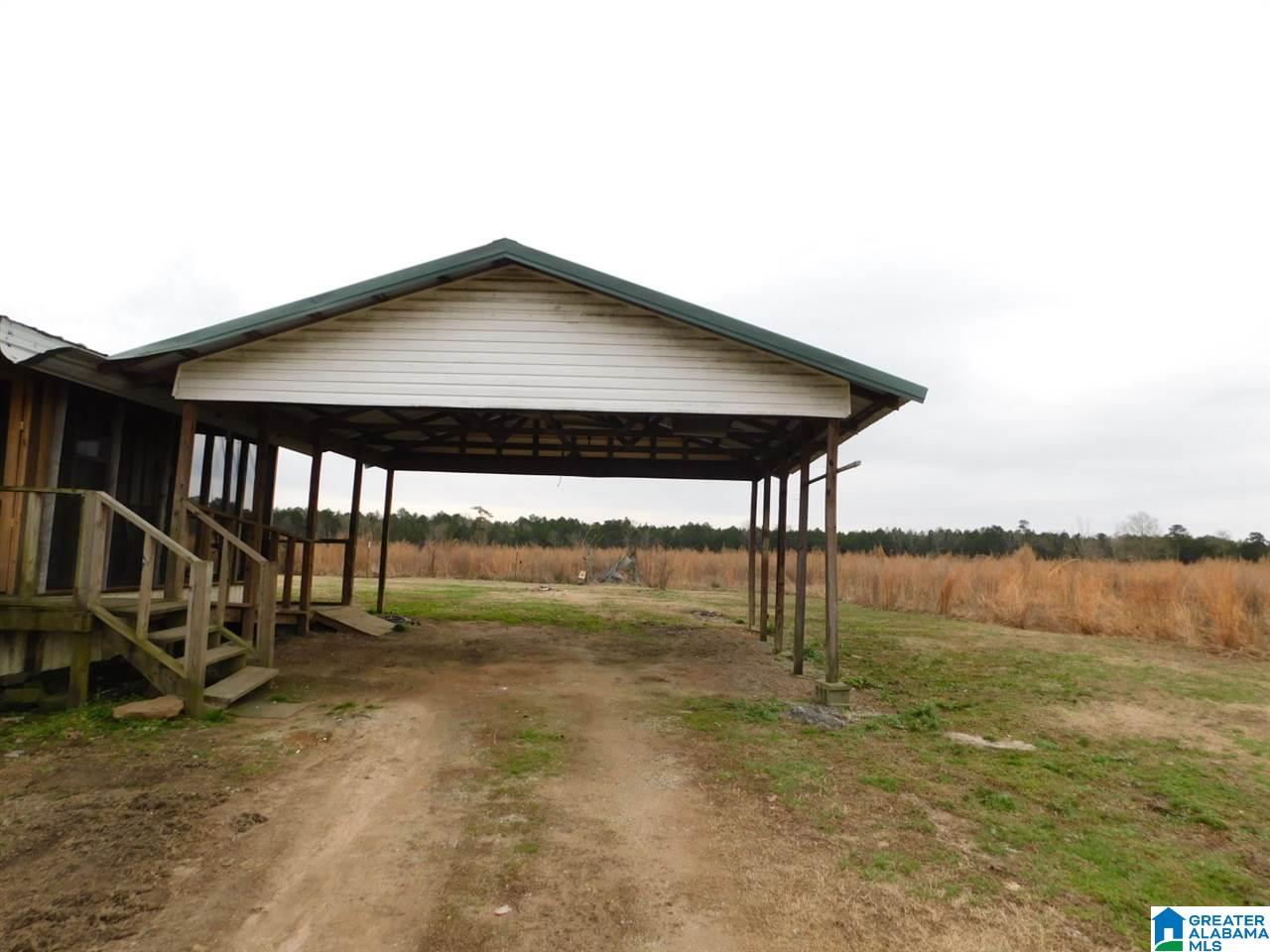 1295 Paul Duncan Road Steele, AL 35987 - Photo 2 of 13