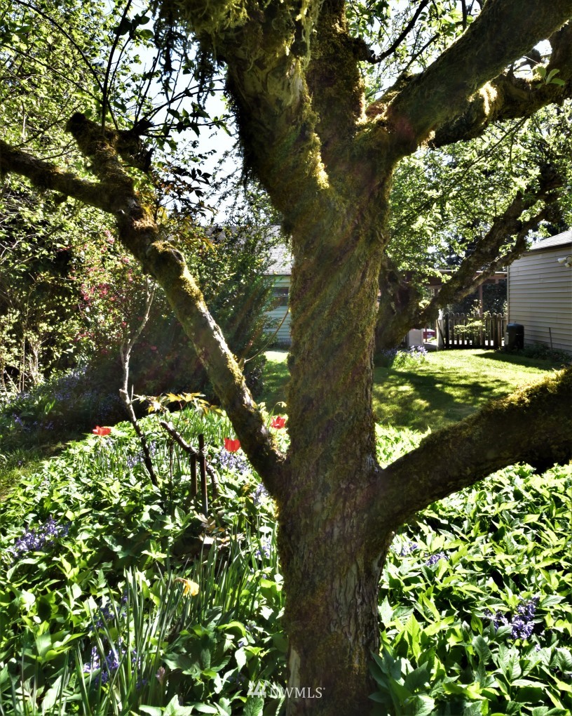 1305 Morgan Road Northwest Bremerton, WA 98312 - Photo 10 of 34 Gallery Image 10