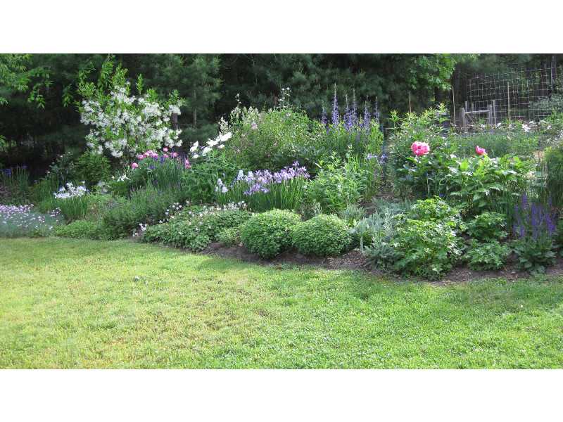 425 Chestnut Hill Road Glocester, RI 02814 - Photo 6 of 25 Yard/Garden.