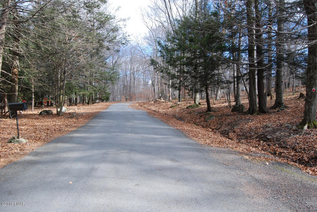 118 Logger Road Canadensis, PA 18325 - Photo 29 of 32 View down road