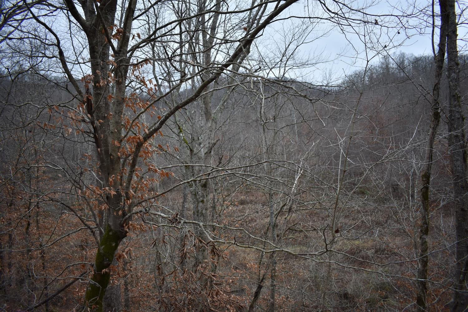 9999 East Crawfish Road Manchester, KY 40962 - Photo 22 of 52 Photo 22