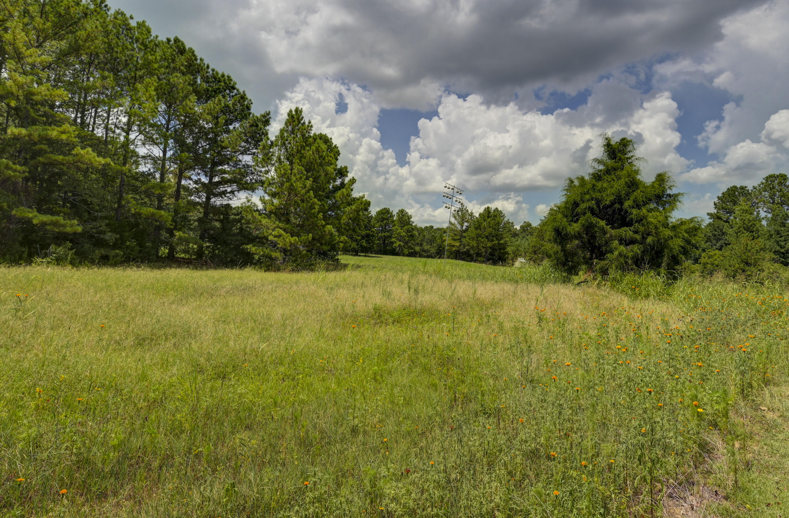 2100 Shady Grove Road Irmo, SC 29063 - Photo 99 of 104 19