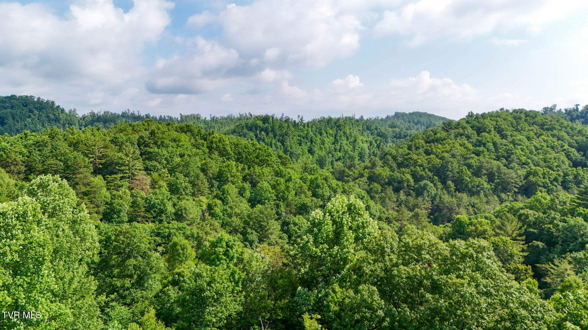2523 Denton Valley Road, Unit 2 Bristol, TN 37620 - Photo 37 of 44 37
