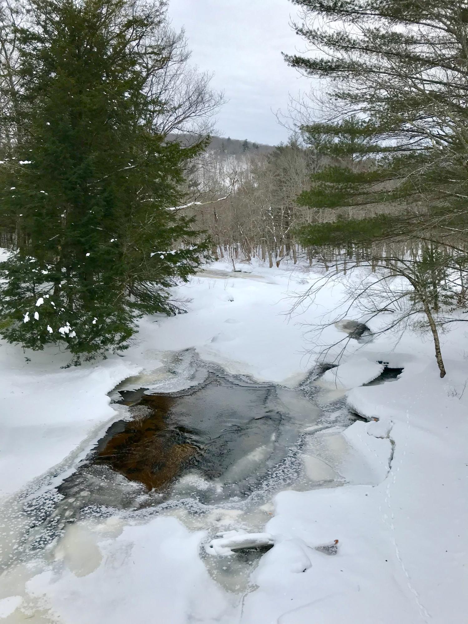 367 Railroad Bed Road Buckfield, ME 04220 - Photo 10 of 11 303DFC99-9352-413F-8B0F-F1D443838607