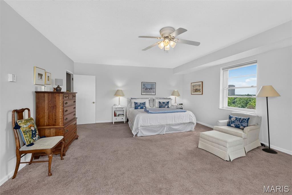 710 South Hanley Road, Unit 10A Clayton, MO 63105 - Photo 23 of 33