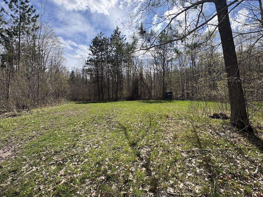 Vl Curtisville Road Mio, MI 48647 - Photo 121 of 141 IMG_2370