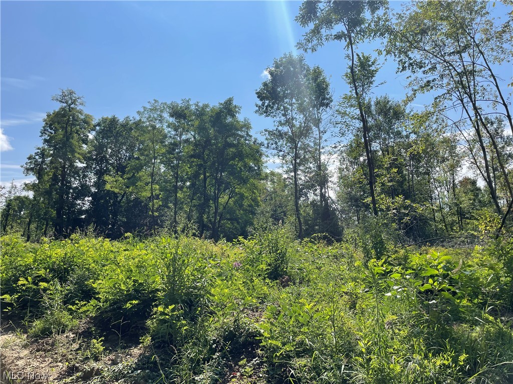 Hague Road Orwell, OH 44076 - Photo 2 of 5 Gallery Image 2