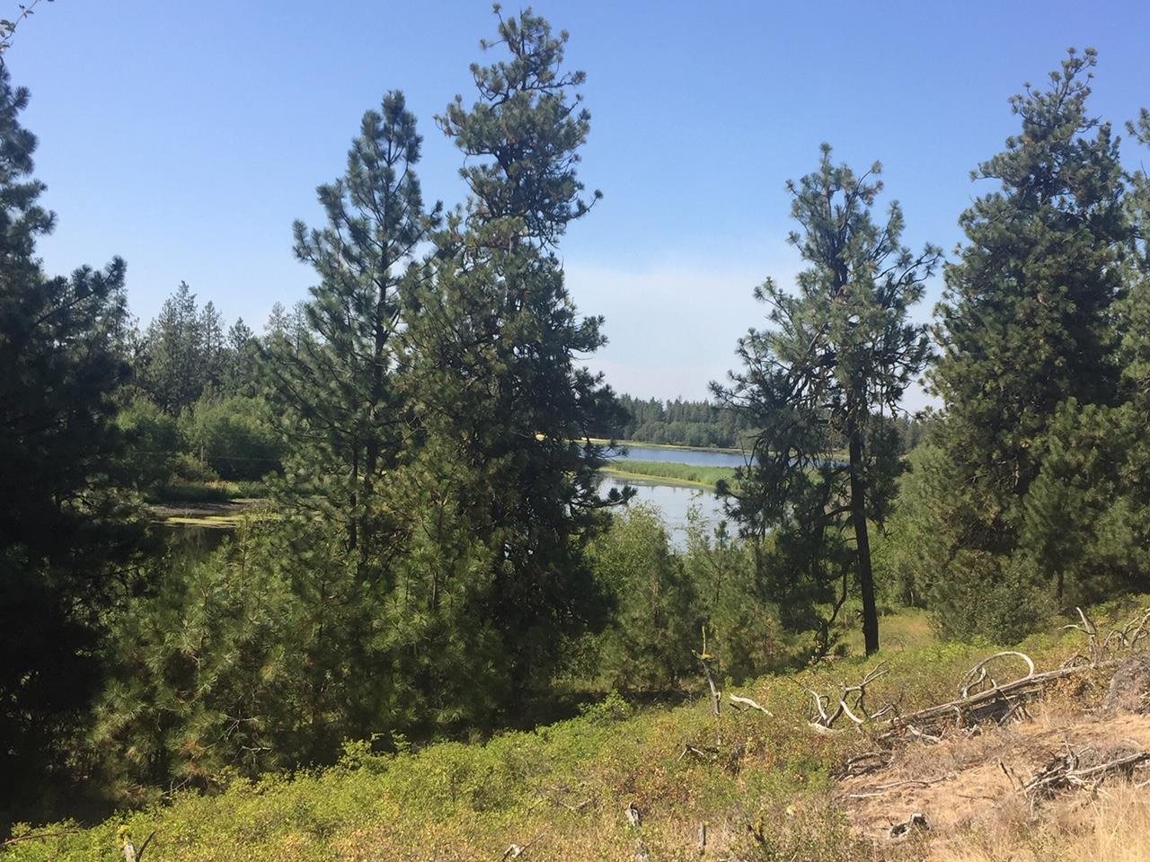 249011 West Kitt Road Reardan, WA 99029 - Photo 1 of 17