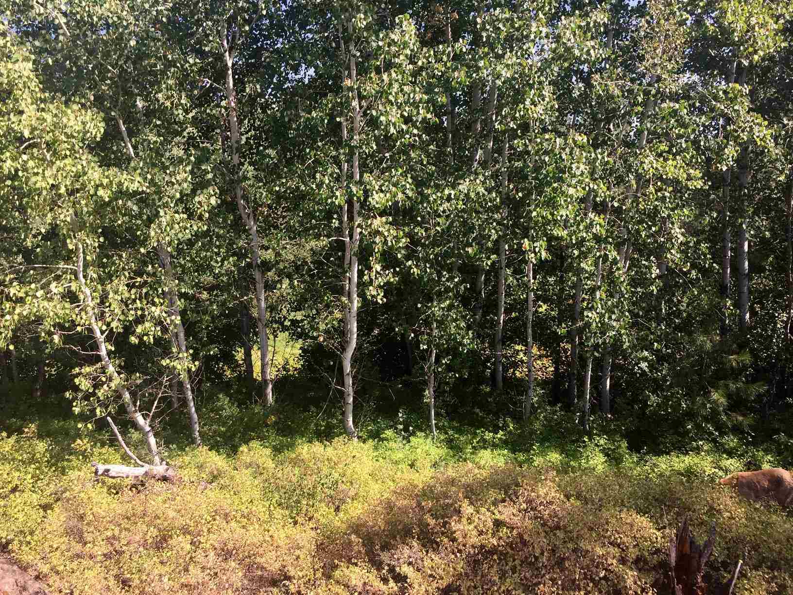 249011 West Kitt Road Reardan, WA 99029 - Photo 11 of 17