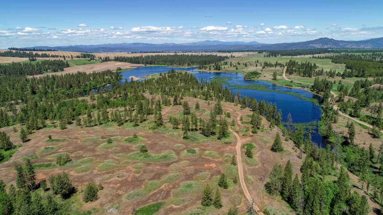 249011 West Kitt Road Reardan, WA 99029 - Photo 13 of 17