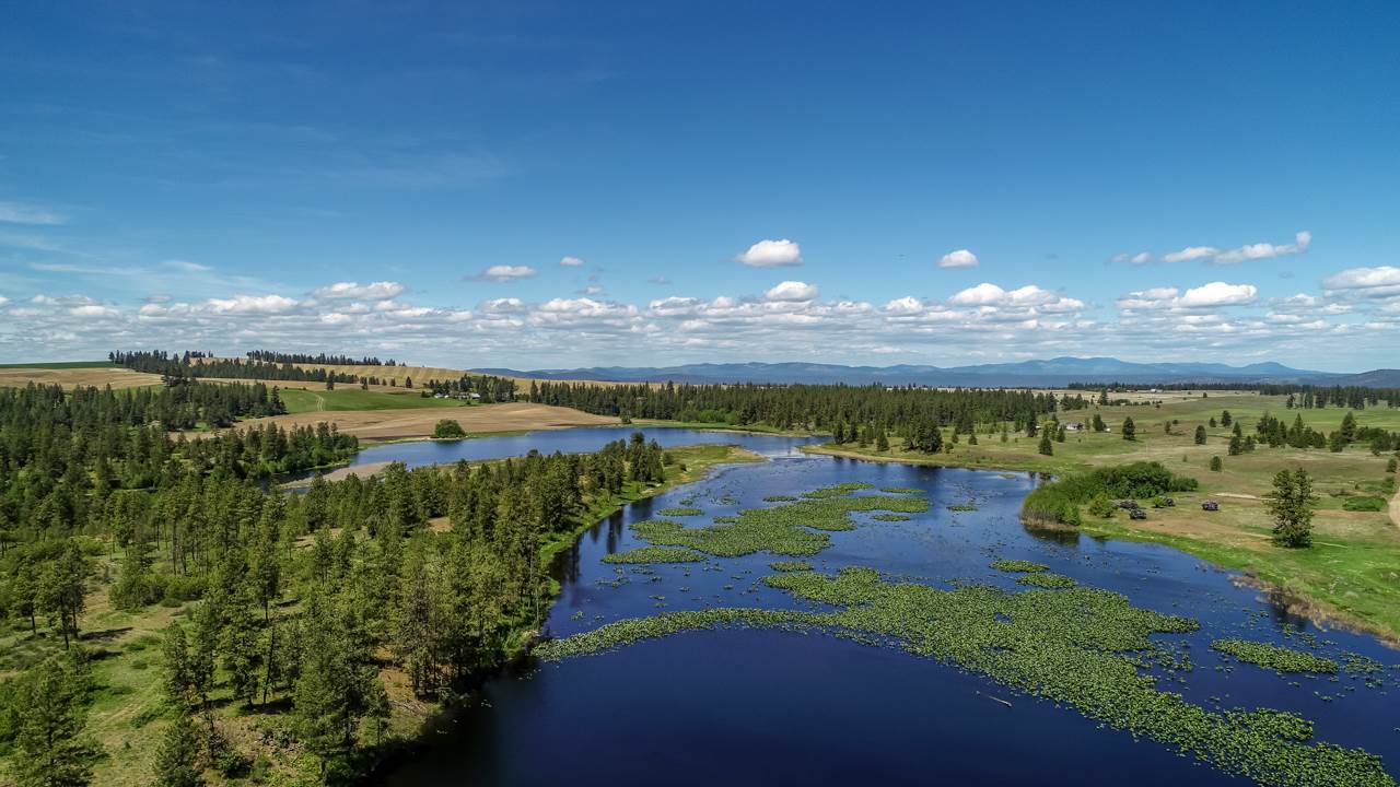 249011 West Kitt Road Reardan, WA 99029 - Photo 14 of 17