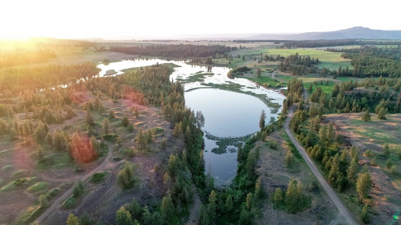 249011 West Kitt Road Reardan, WA 99029 - Photo 15 of 17