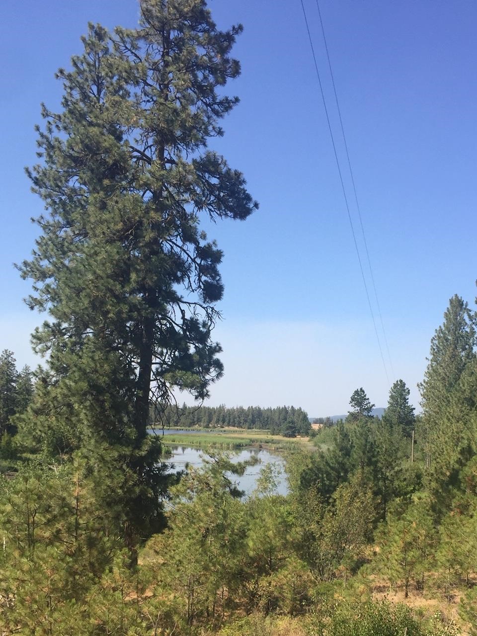 249011 West Kitt Road Reardan, WA 99029 - Photo 3 of 17