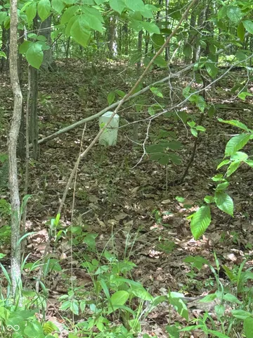 $237,000 | 0 North Lahr Drive, Martinsville, IN 46151