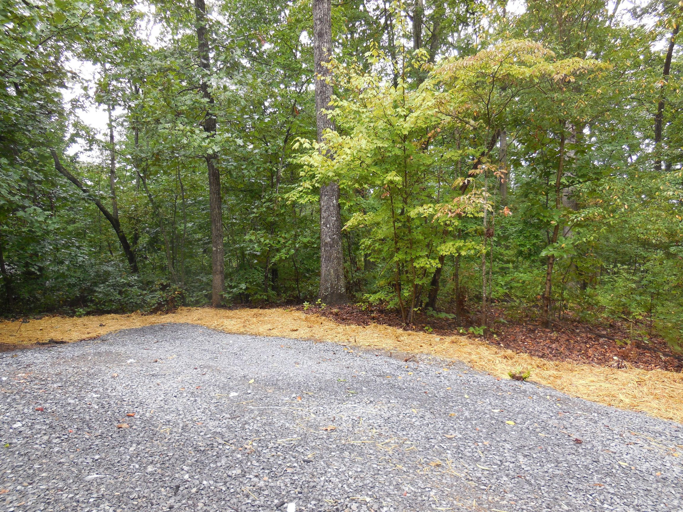 519 Johnson Road Kodak, TN 37764 - Photo 20 of 21 DSCN2240