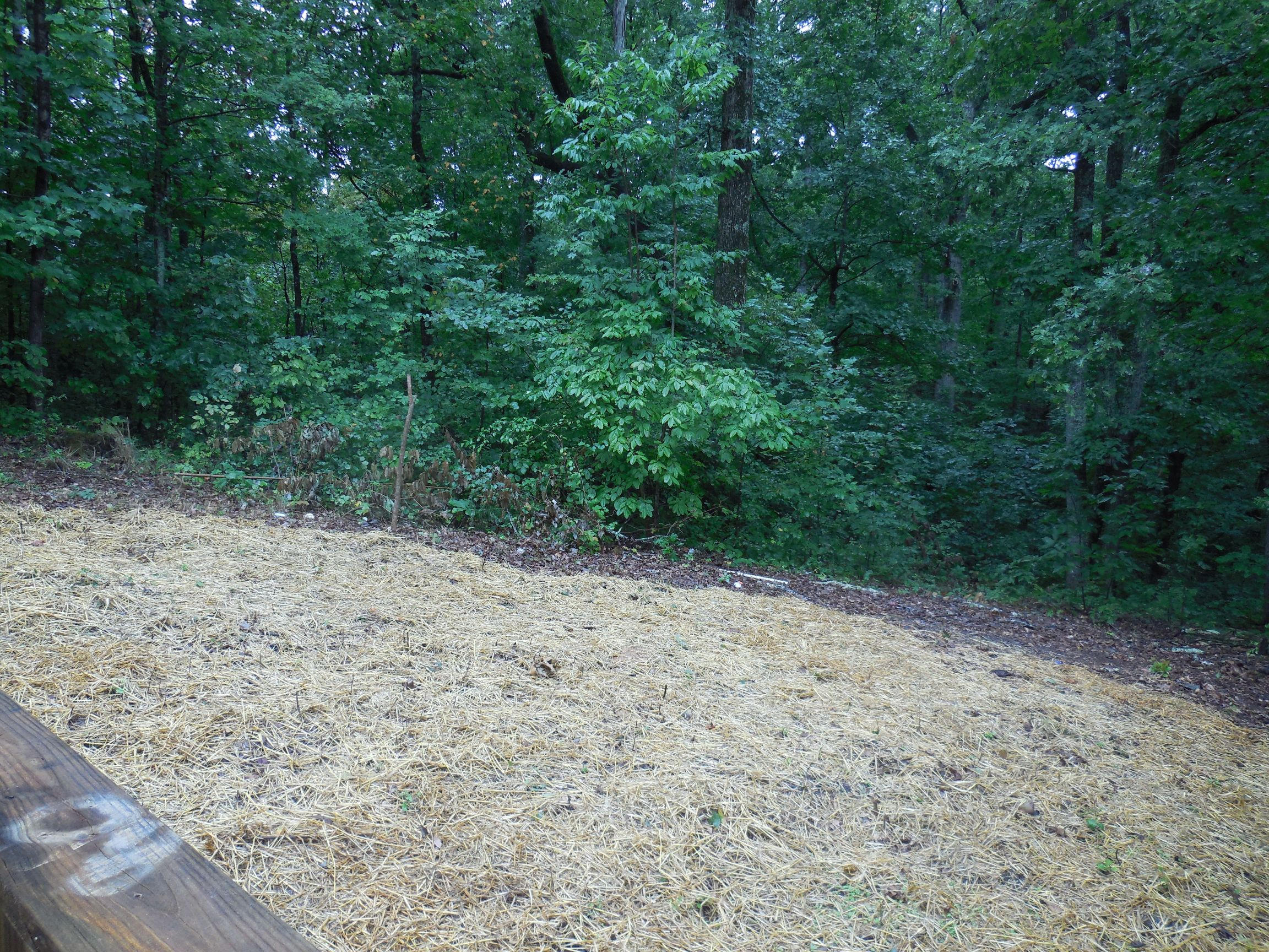 519 Johnson Road Kodak, TN 37764 - Photo 8 of 21 DSCN2227