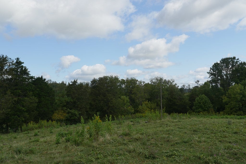 Tbd South Fork River Road, Unit 1 Glade Spring, VA 24340 - Photo 45 of 57 Gallery Image 45
