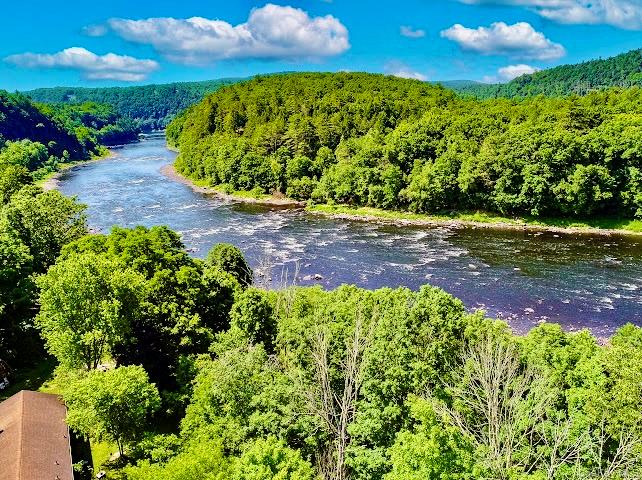 4 Tow Path Road Barryville, NY 12719 - Photo 4 of 18