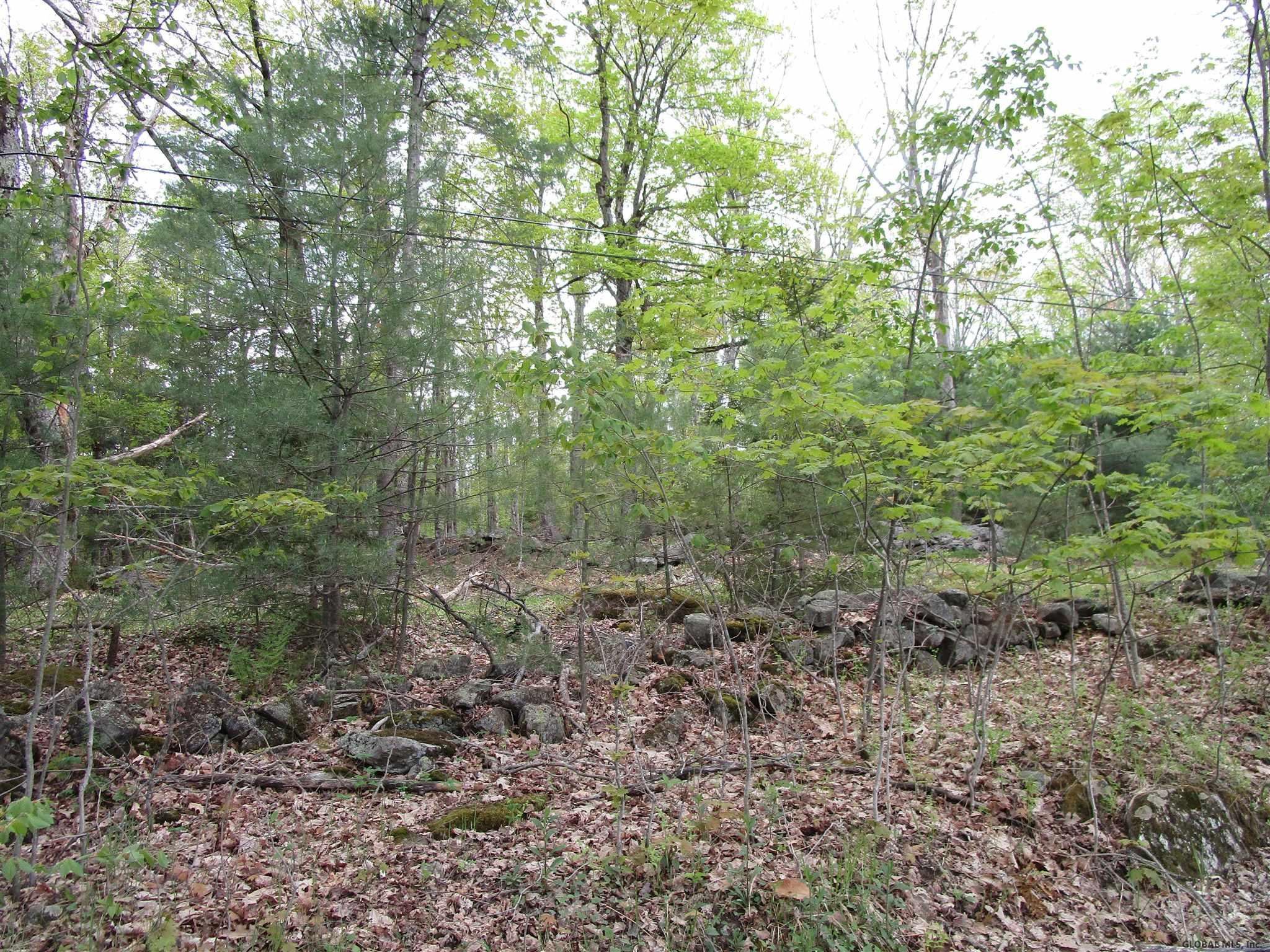 4 Fire Tower Road Grafton, NY 12138 - Photo 1 of 2 Photo 1