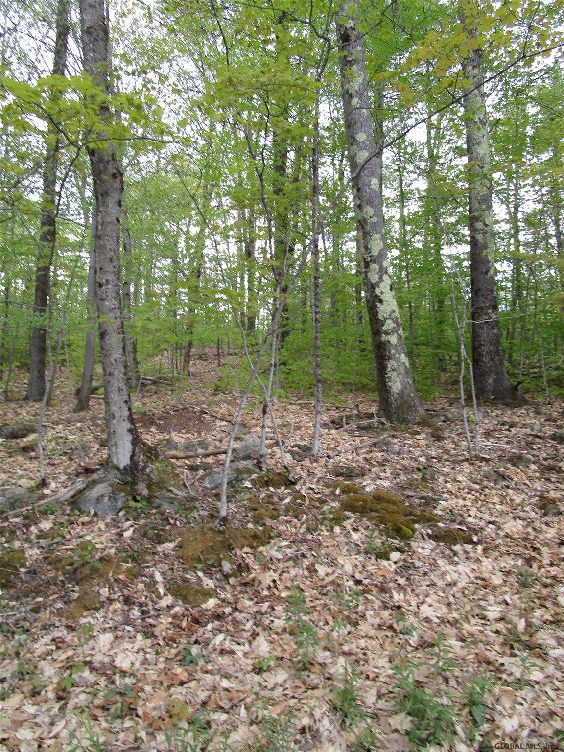 4 Fire Tower Road Grafton, NY 12138 - Photo 2 of 2 Photo 2
