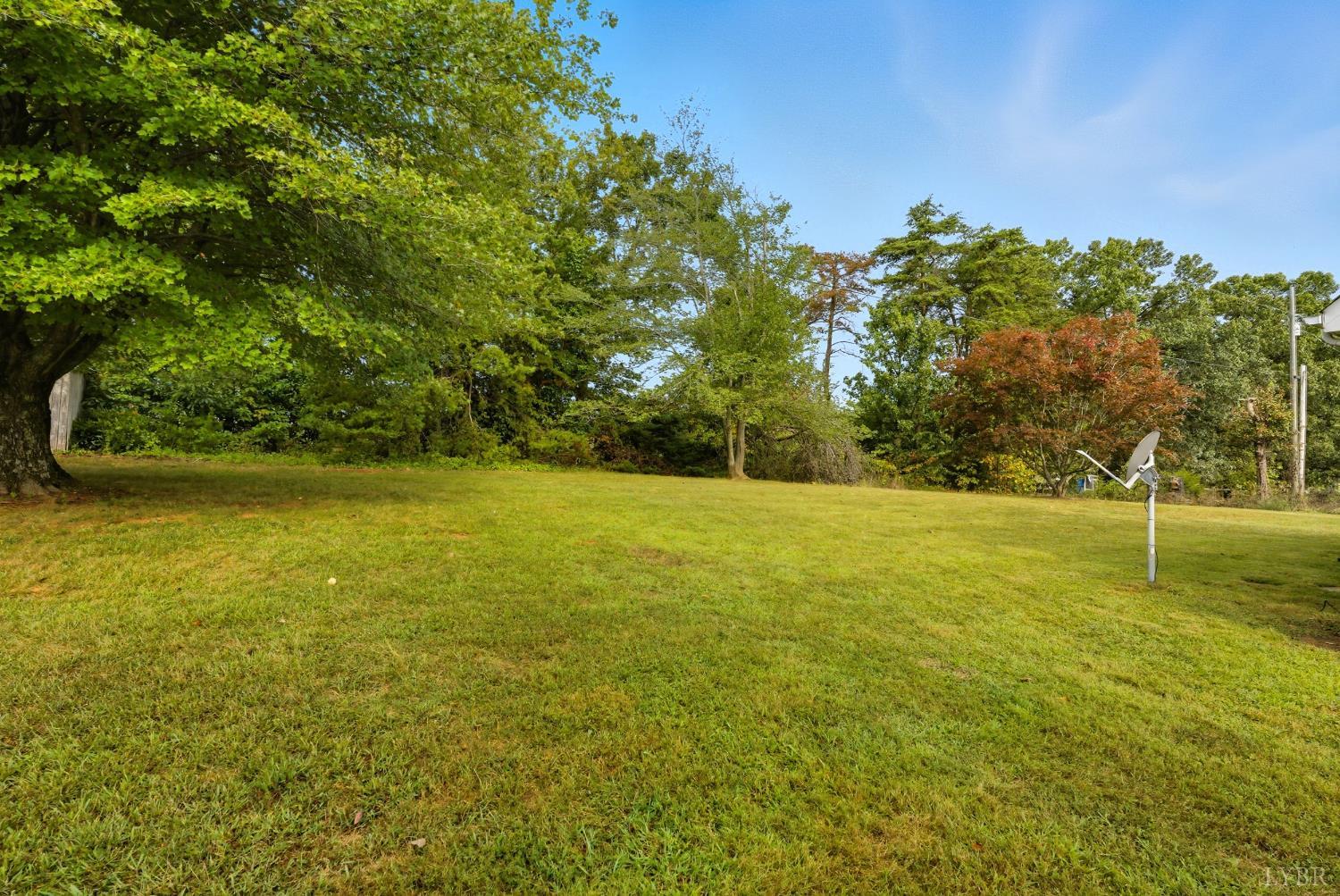 1965 Burke Road Gretna, VA 24557 - Photo 29 of 41 a view of a yard with a tree