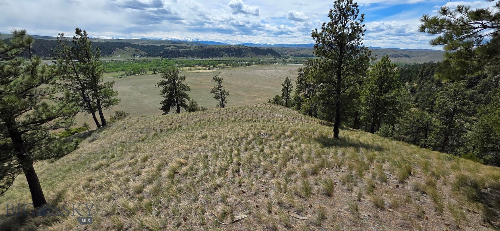 215 Shank Basin West Road Reed Point, MT 59069 - Photo 23 of 42 Gallery Image 23