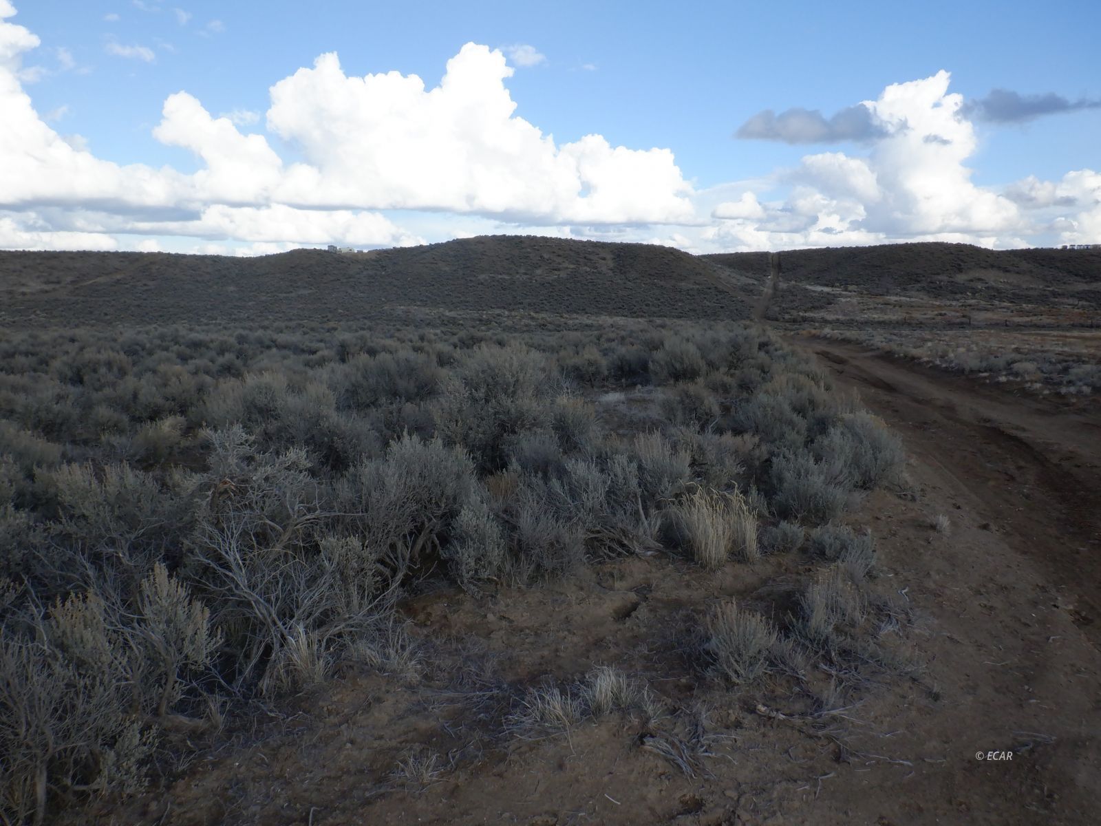 40-5 5th Street, Unit 405 Elko, NV 89801 - Photo 4 of 6