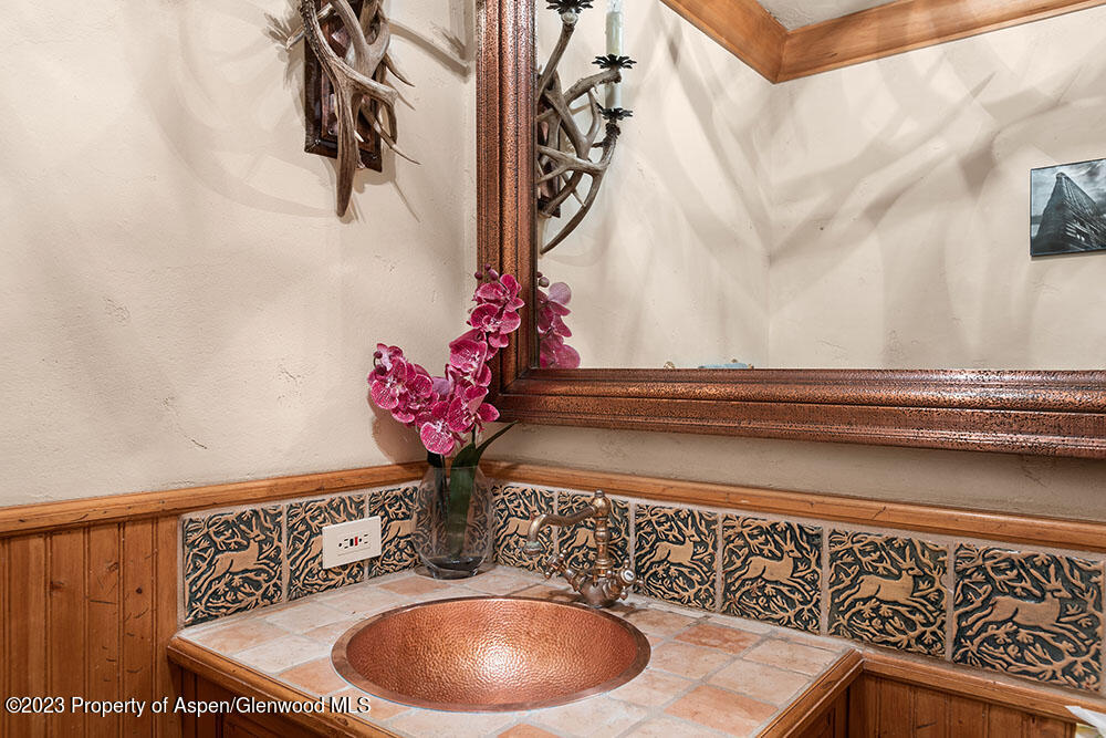 730 Bay Street Aspen, CO 81611 - Photo 18 of 48 Main level powder room
