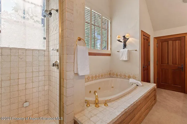 $85,000 | 730 Bay Street, Aspen, CO 81611