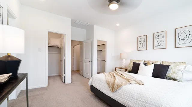 a bedroom with bed and walk in closet