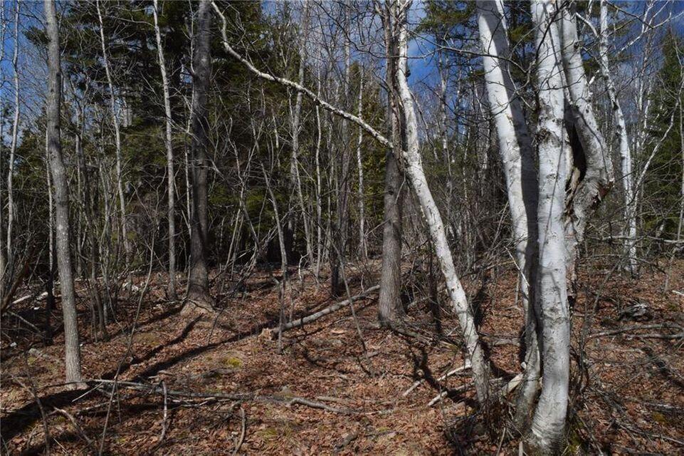 M40-l75 Lyons Road Lubec, ME 04652 - Photo 12 of 17 12